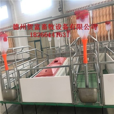 養殖定位欄與賀富設備廠 畜牧設備技術的創新與發展