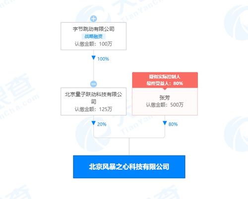 字節跳動關聯公司布局基礎軟件服務領域，戰略投資彰顯科技生態新動向